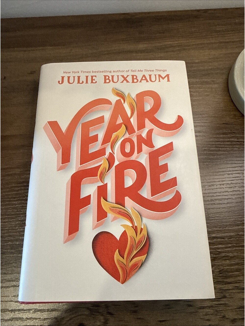 Year on Fire by Julie Buxbaum (2022, Hardcover)